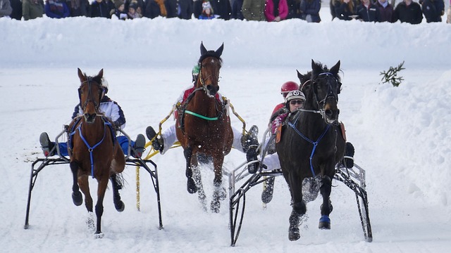 才华横溢的 才华横溢的