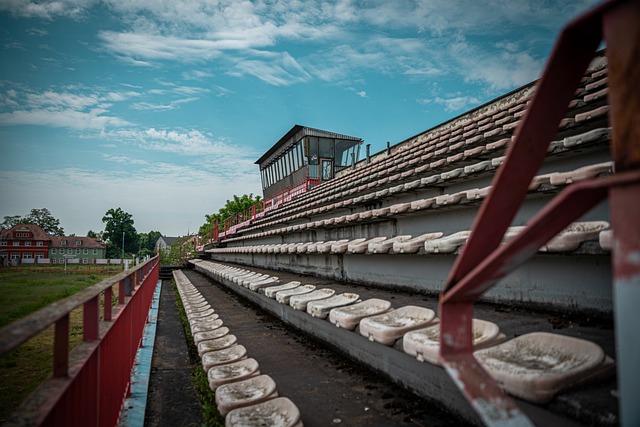 竞技体育的 竞技体育的