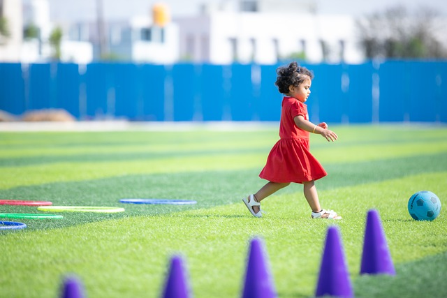展都将成为 展都将成为