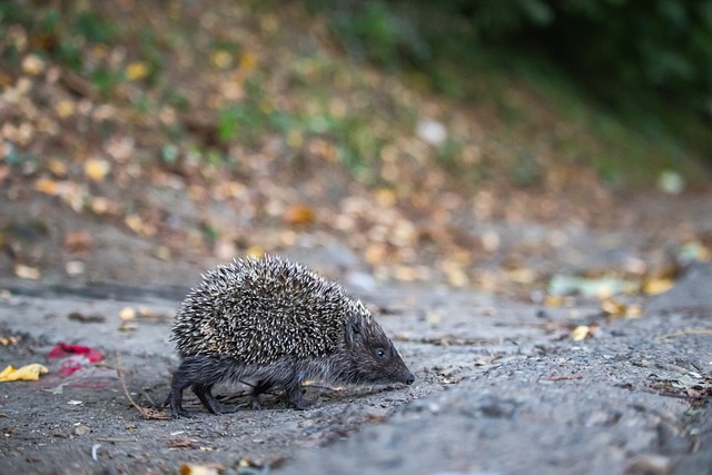 名勇士勇敢 名勇士勇敢