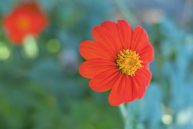 而这也正是 而这也正是