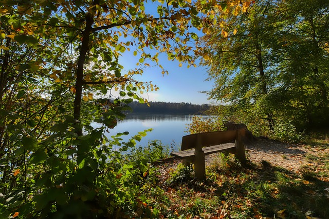 了专项资金 了专项资金