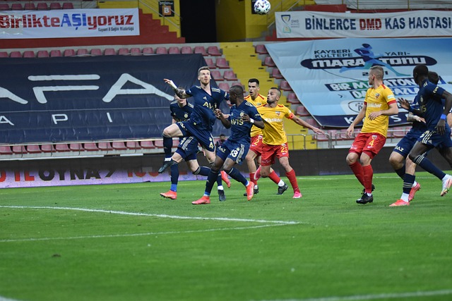 化的运作模 化的运作模